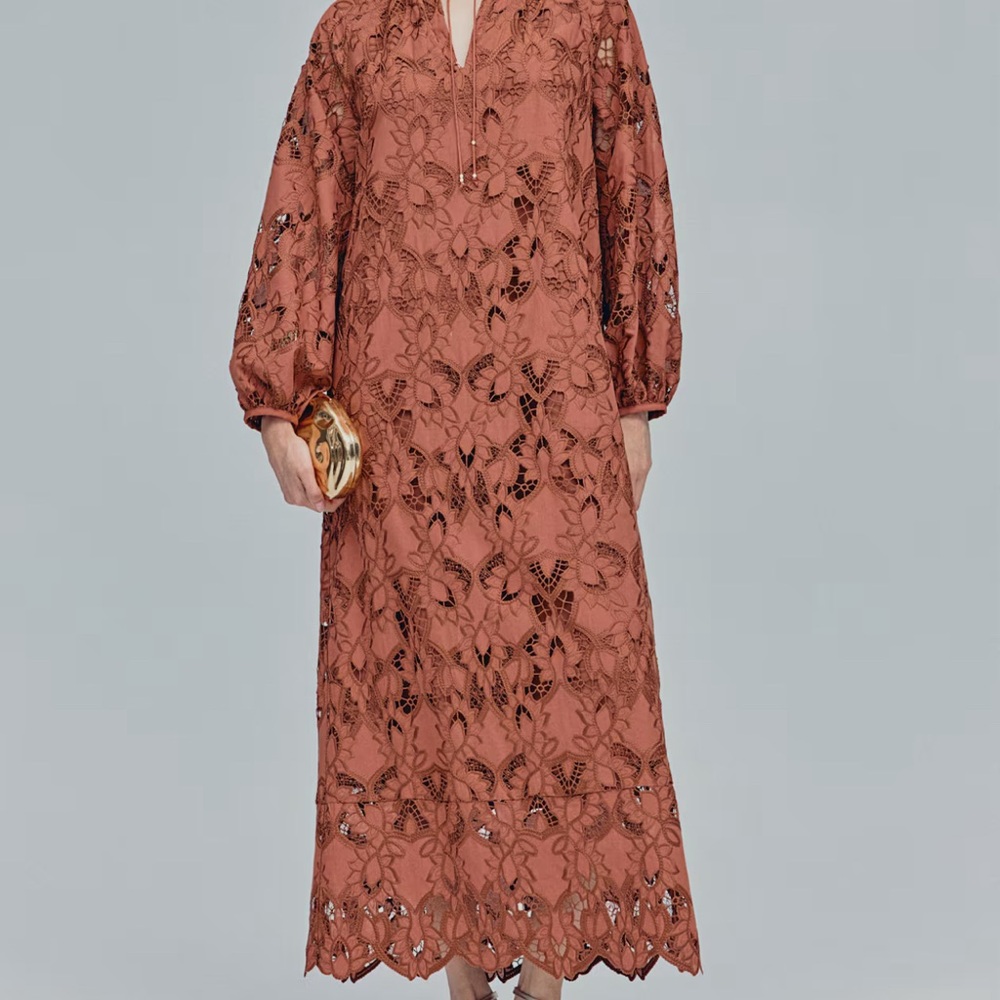 Elegant Brown Lace Dress - Picture 4 of 6
